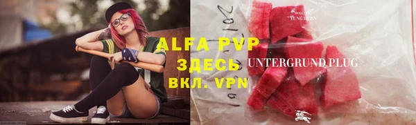 спиды Алзамай