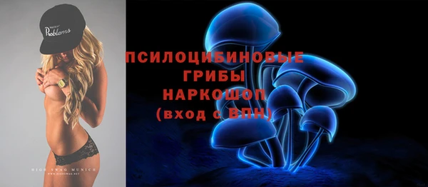 спиды Алзамай