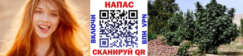 Марихуана ГИДРОПОН  Игарка 
